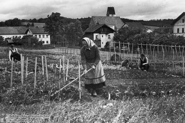 Eine sudetendeutsche Vertriebenenfamilie in Süddeutschland (1948)